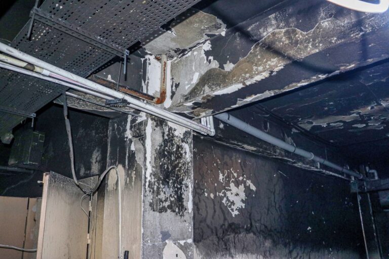 Expert Fire Damage Restoration Services in Jackson